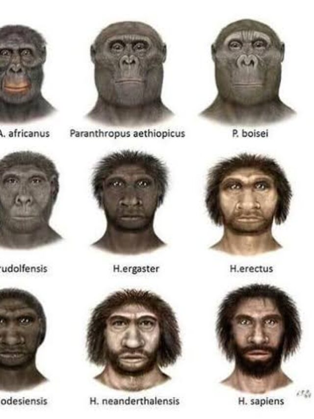 A long ago how the old human looks